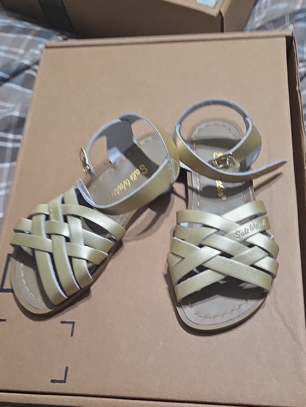 Salt Water Sandals by Hoy Shoes Girl's Retro